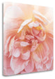 "Heavenly Rose" By Rebecca Swanson, Giclee Print on Gallery Wrap Canvas
