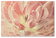 Cora Niele ''Vintage Tulip'' Canvas Art