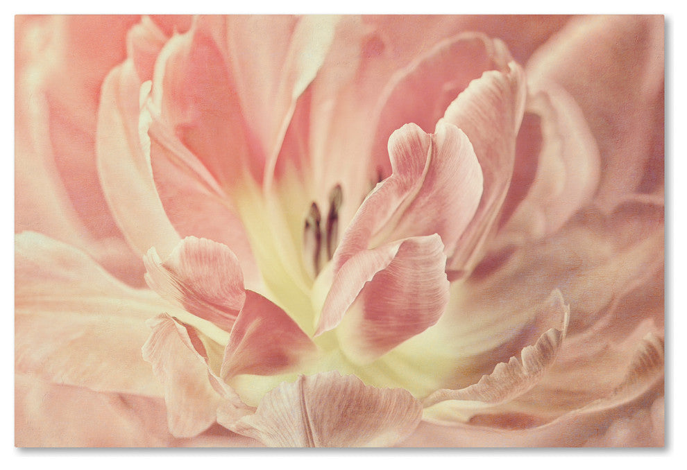 Cora Niele ''Vintage Tulip'' Canvas Art