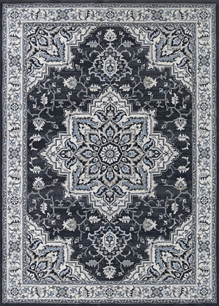 Couristan Sultan Treasures Harish Charcoal Area Rug, 6'6"x9'6"
