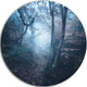 Beautiful Autumn In Forest, Landscape Photo Disc Metal Artwork, 11"