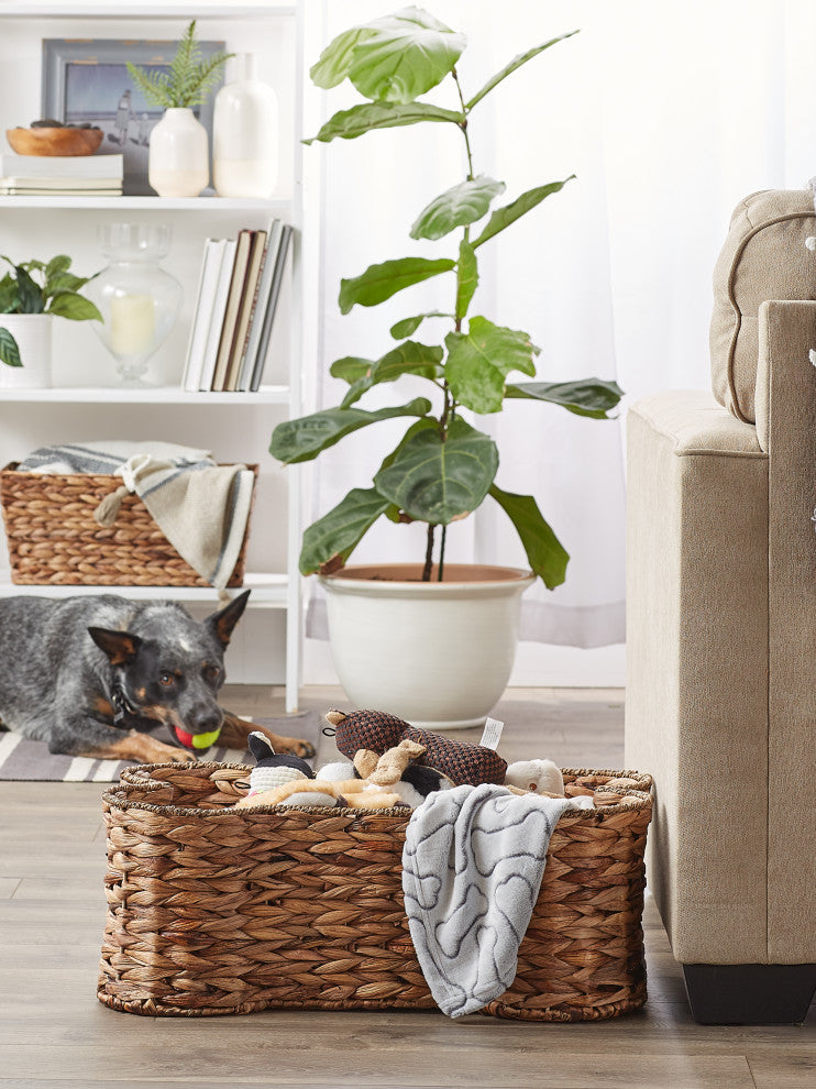 Bone Dry Dark Brown Hyacinth Bone Pet Basket Large