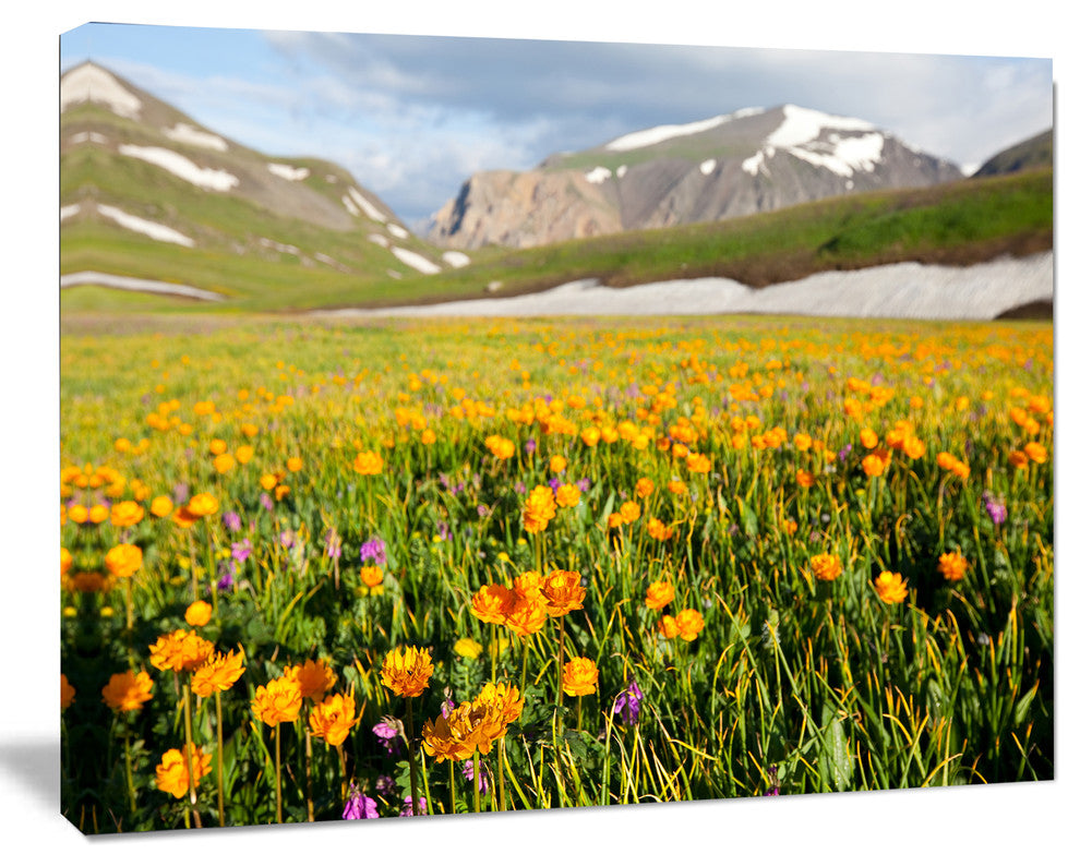 Mountain Plain with Wild Yellow Flowers, Floral Canvas Art Print, 60"x28"