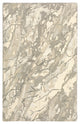 Oriental Weavers Anastasia Beige/ Ivory Abstract Indoor Area Rug 3'6"X5'6"