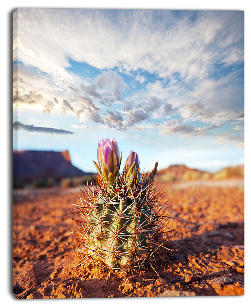 Large Cactus under Cloudy Sky, Floral Canvas Art Print, 12"x20"