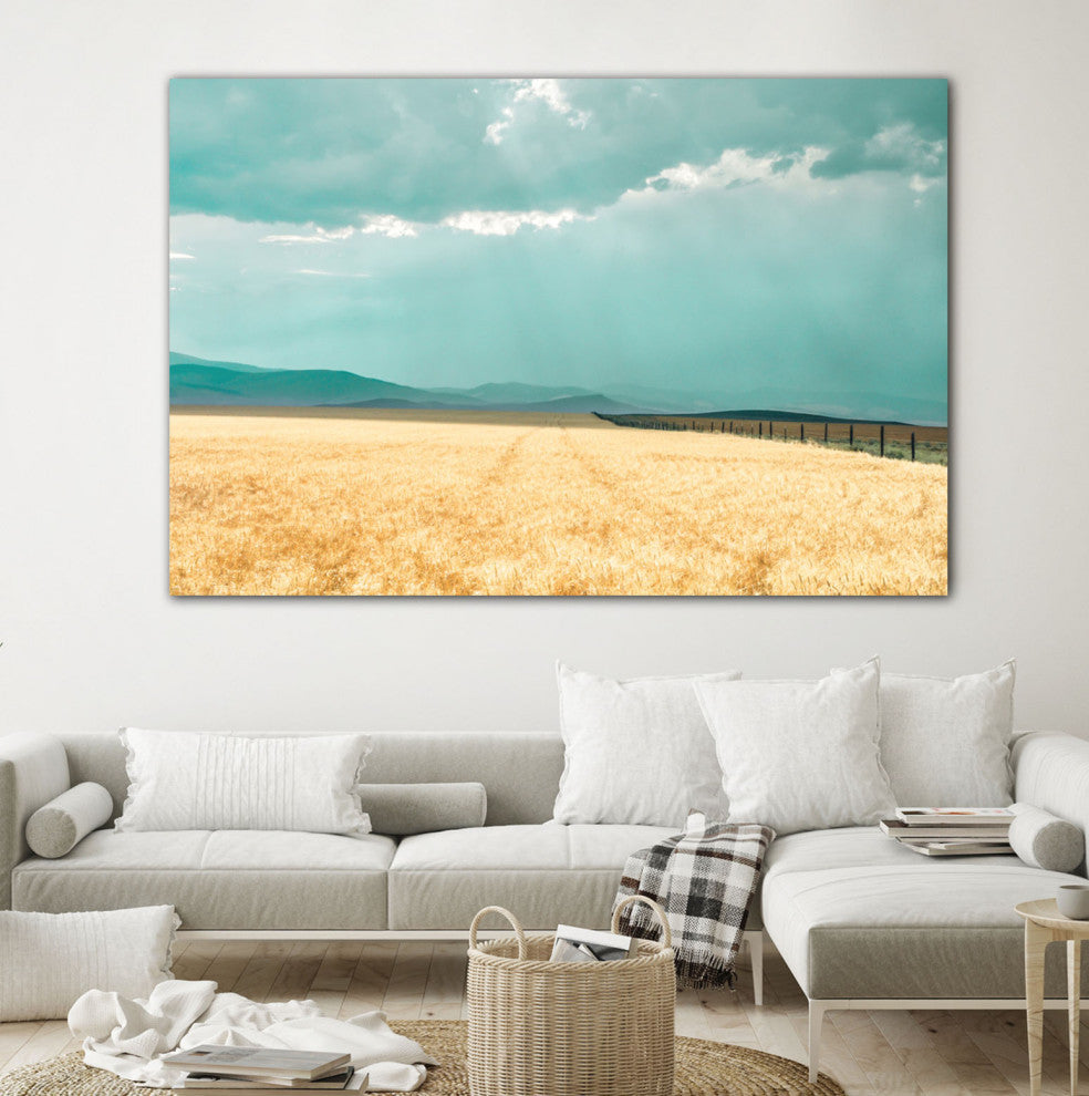 Harvest Shadow - 72 x 48 by Annie Bailey Art