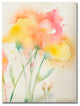 ''Garden Poppies'' Canvas Art by Sheila Golden