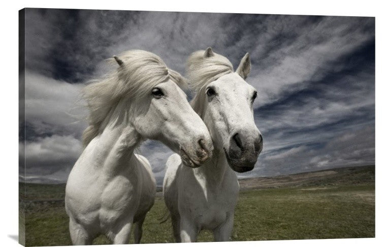 "Inseparables" Stretched Canvas Giclee by Bragi Ingibergsson, 30"x20"