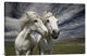 "Inseparables" Stretched Canvas Giclee by Bragi Ingibergsson, 30"x20"