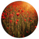 Dense Poppy Field At Sunset, Floral Disc Metal Wall Art, 11"