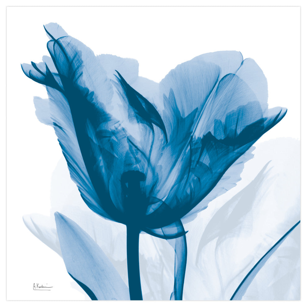 "Lusty Blue Tulip" Frameless Free Floating Panel Graphic Wall Art, 24"x24"