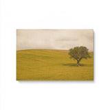 "Tuscan Fields' Charm" - A Touch of Italian Rusticity for Elegant Interiors