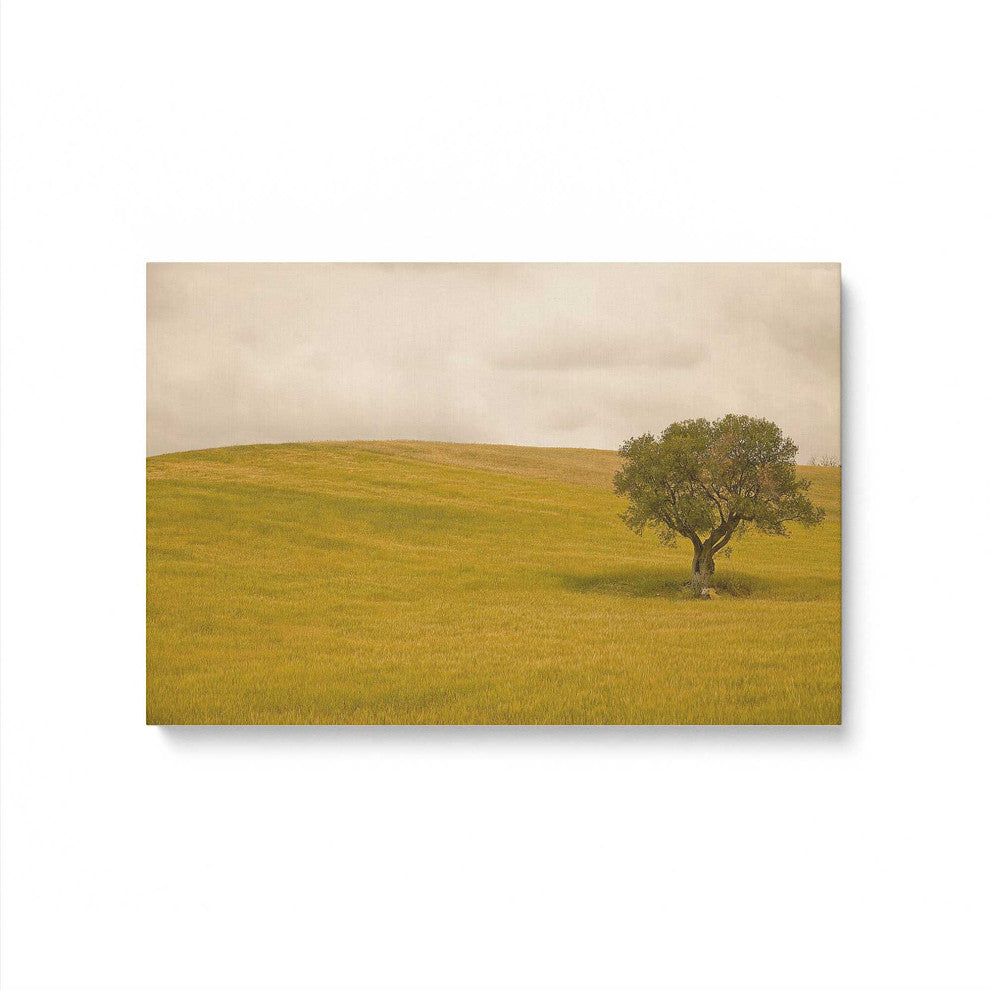 "Tuscan Fields' Charm" - A Touch of Italian Rusticity for Elegant Interiors