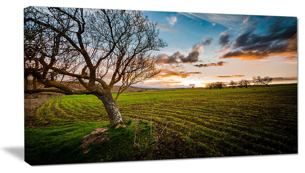 Sunset in Sardinia Grassland, Extra Large Landscape Canvas Art Print, 32"x16"