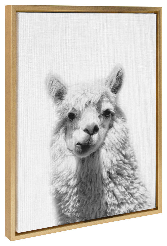 Sylvie Alpaca Portrait Framed Canvas By Simon Te Tai, Gold, 18x24