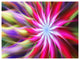 Pink Flower Dance Bright Spiral, Floral Canvas Art Print, 40"x30"