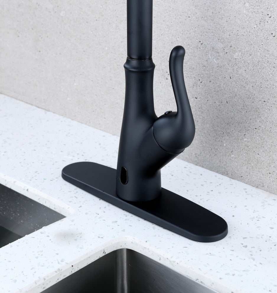 Runfine Hands Free Single-Handle Pull down Sprayer Kitchen Faucet, Matte Black