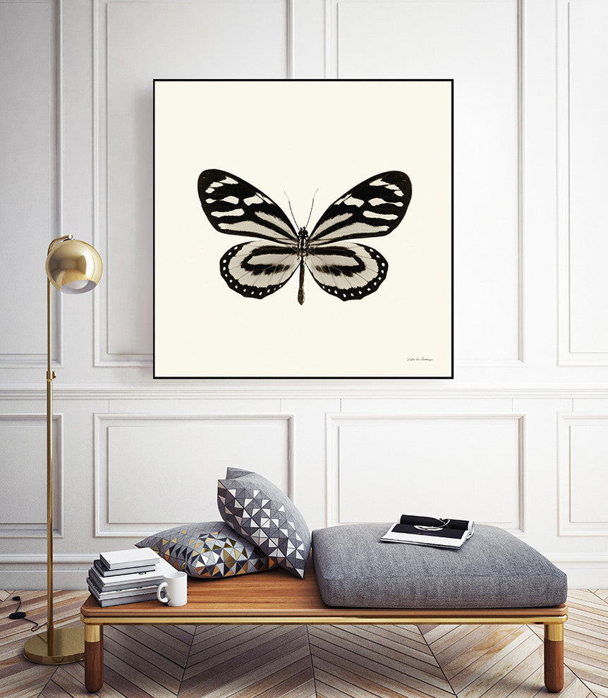 "Butterfly Viii Bw Crop" Art Block Framed Canvas, 30"x30"