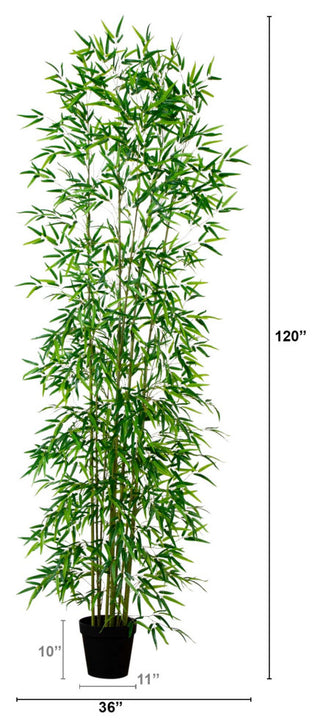 Contains measurement overlays (dimensions); not a standard product photo.