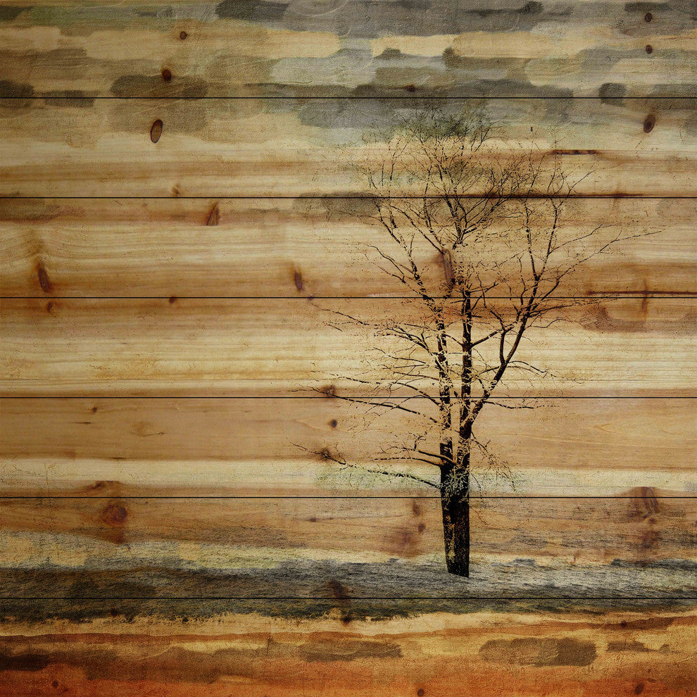 "Tree Stands Alone" Print on Natural Pine Wood, 24"x24"