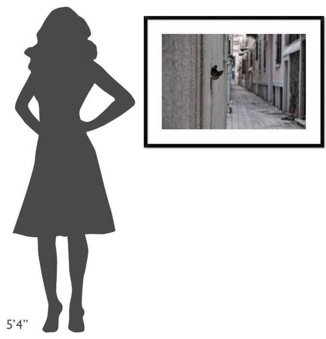 "Dantel Street Cat" Framed Digital Print by Ali Ayer, 38"x28"