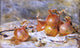 Pierre Auguste Renoir Onions, 18"x27" Wall Decal