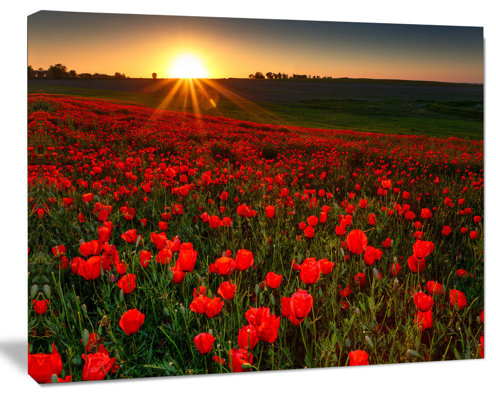 Sunset over Garden with Red Poppies, Floral Canvas Art Print, 60"x28"