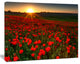 Sunset over Garden with Red Poppies, Floral Canvas Art Print, 60"x28"