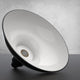 8in.  Black Gooseneck Barn Light with Cosmopolitan Arm