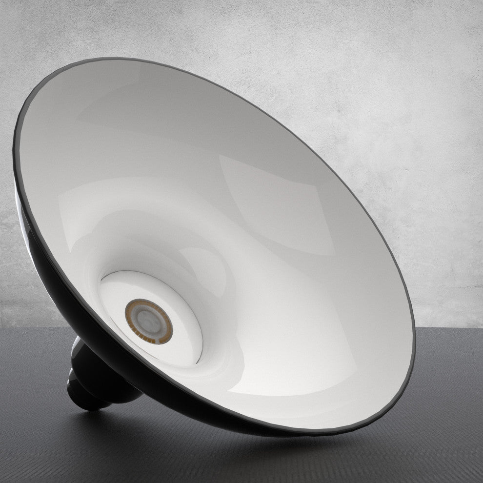 8in.  Black Gooseneck Barn Light with Cosmopolitan Arm