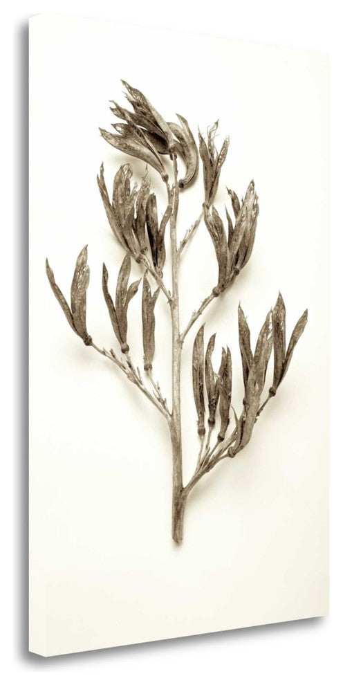 "Garden Bloom - 16" By Alan Blaustein, Giclee Print on Gallery Wrap Canvas