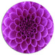 Light Purple Abstract Flower Petals, Floral Disc Metal Artwork, 36"