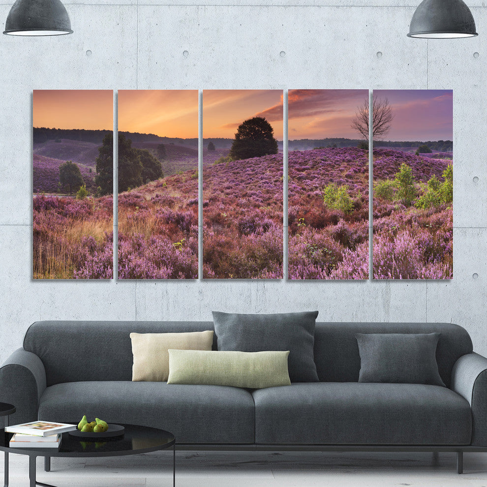 Blooming Heather at Dawn Panorama, Landscape Canvas Art Print, 60"x28", 5 Panels