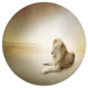 Relaxing King Of Animals, Animal Round Wall Art, 11"