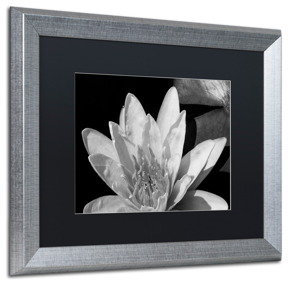 Kurt Shaffer 'Water Lily in Black and White' Matted Framed Art