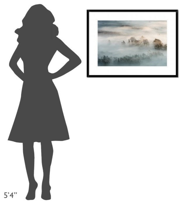 "Winter Fog" Framed Digital Print by Marco Galimberti, 32x24"