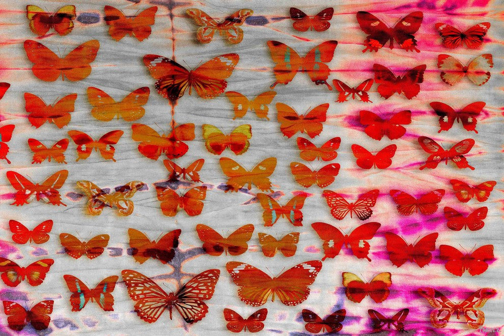 "Moths" Print on Canvas, 45"x30"