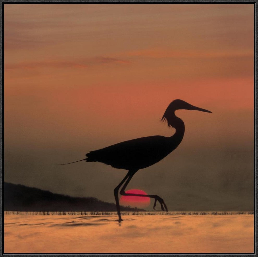 "Little Egret silhouetted at sunset, Africa"  by Tim Fitzharris, 25x25"
