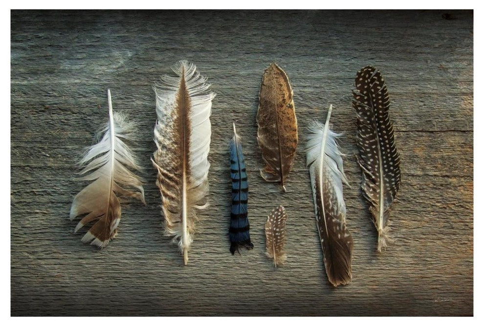 "Feather Collection I" Digital Paper Print by Sue Schlabach, 62"x42"