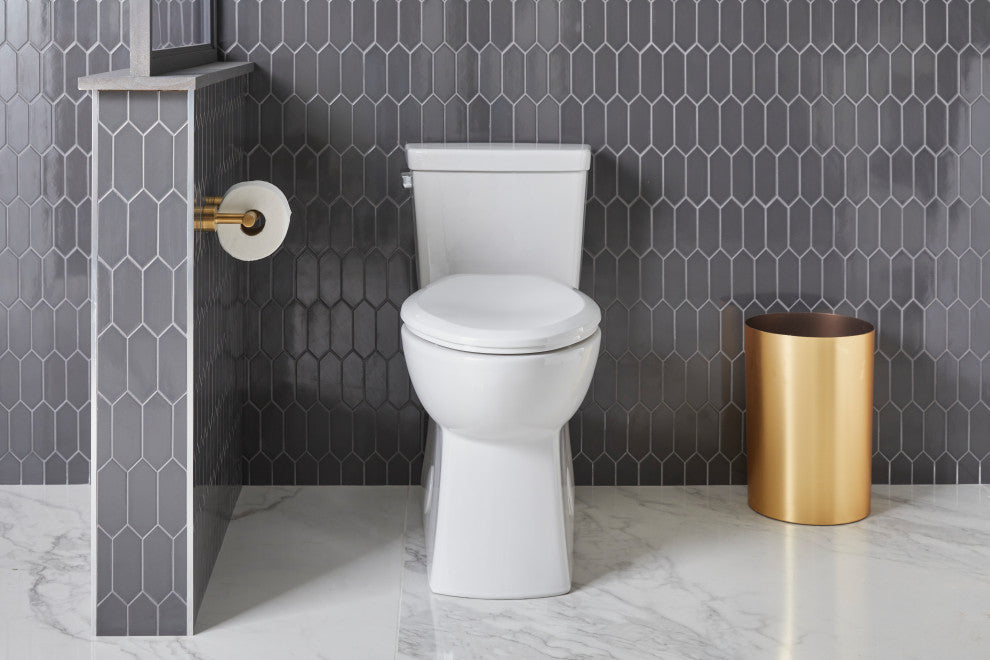 Parma Double-Post Toilet Paper Holder, Brushed Bronze