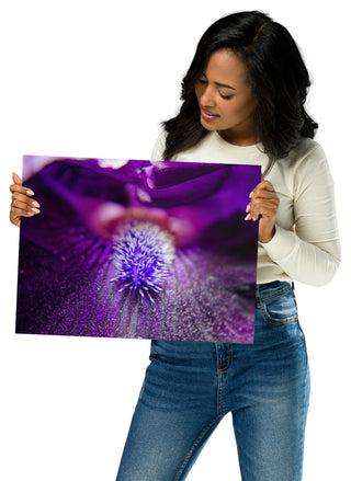 Eye of Iris Nature Photography, Floral Unframed Wall Art Print, 12" X 16"