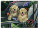 Jenny Newland 'Wagging Along For The Ride' Canvas Art, 47x35
