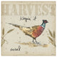 "Farmers Feast VI" Digital Paper Print by Anne Tavoletti, 26"x26"