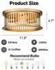 2 Light Gold Flush Mount Ceiling Light Farmhouse Industrial Ceiling Lamp