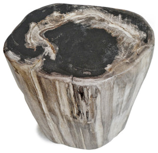 Petrified Stump Stool