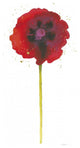 "Splash II with Gold" Digital Paper Print by Shirley Novak, 26"x50"