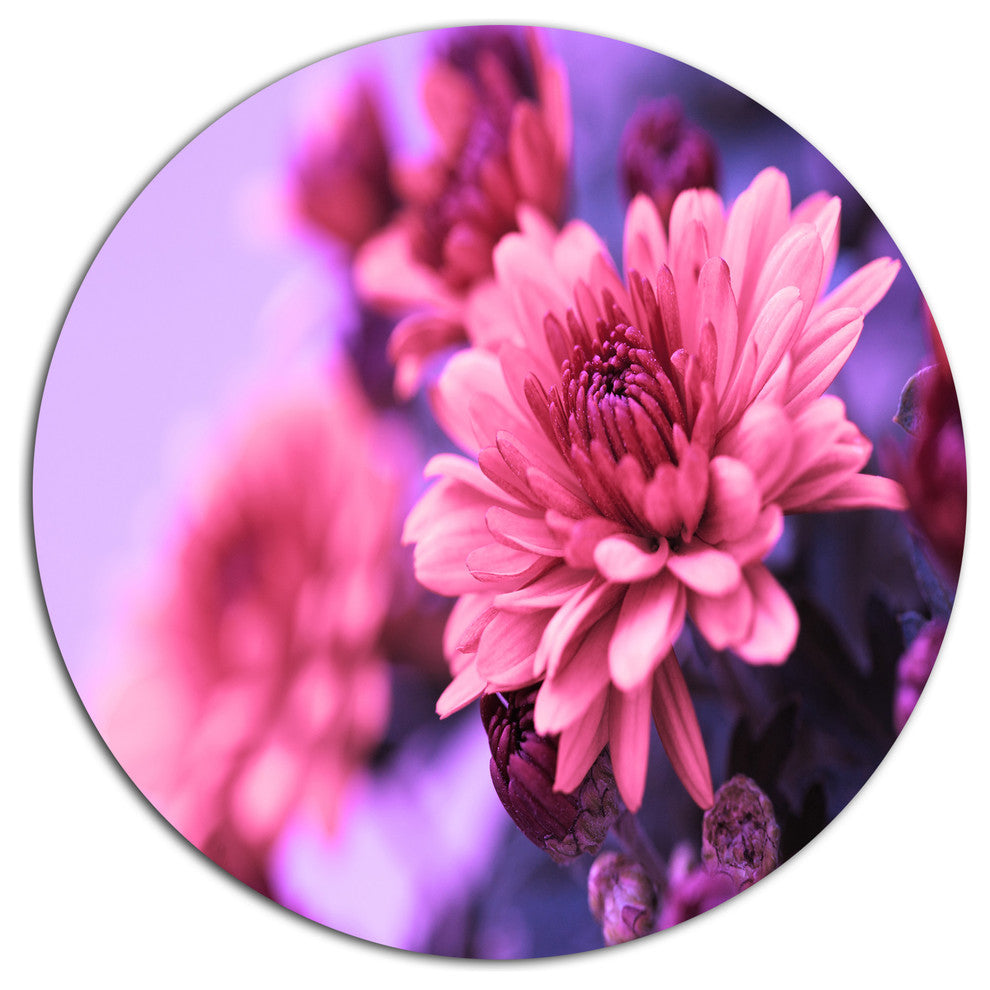 Colorful Autumnal Chrysanthemum, Floral Disc Metal Artwork, 23"
