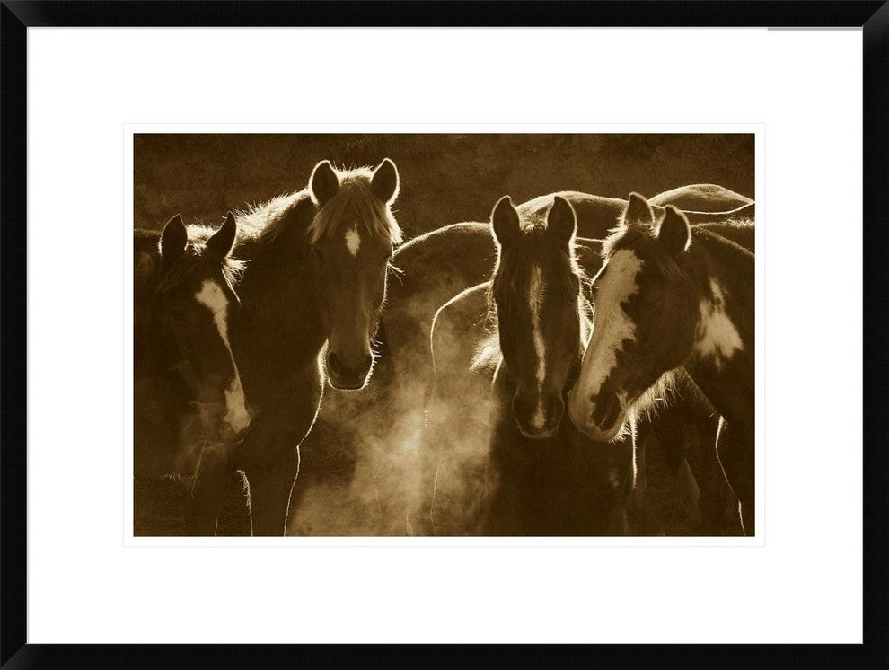 Horse Herd At Annual Round-Up, Backlit, Ecuador, Sepia, 24"x18"