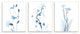 Aesthetic Minimalist Blue Botanical Floral Design, 3pc, each 13 x 19