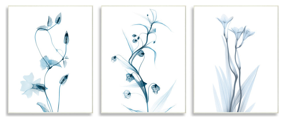 Aesthetic Minimalist Blue Botanical Floral Design, 3pc, each 13 x 19